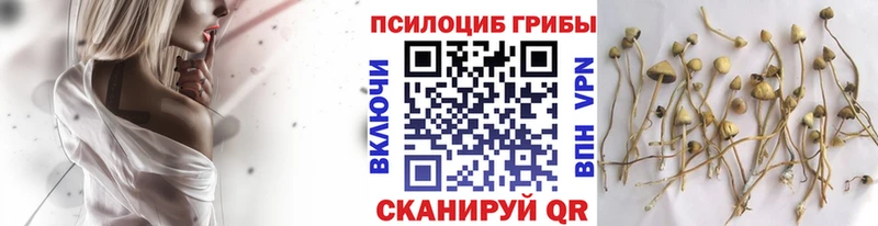 Псилоцибиновые грибы MAGIC MUSHROOMS  Рубцовск 