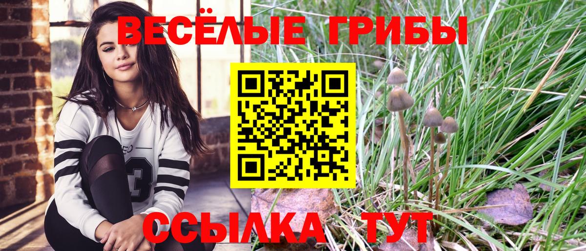 Галлюциногенные грибы ЛСД  Вход с VPN  Псилоцибиновые грибы MAGIC MUSHROOMS  Рубцовск 