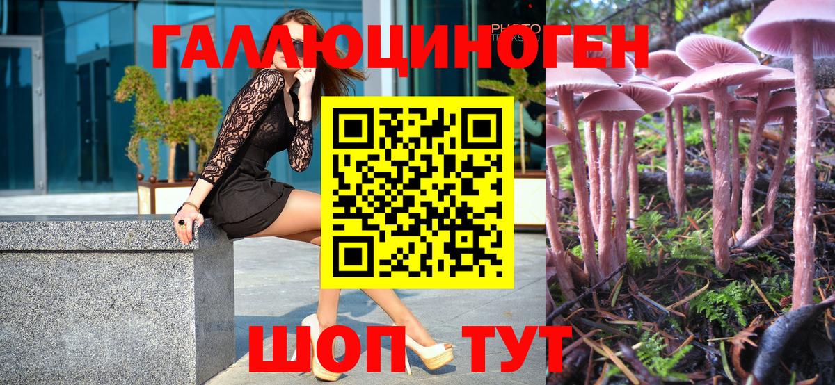 Псилоцибиновые грибы мицелий  Галлюциногенные грибы ЛСД  Рубцовск 
