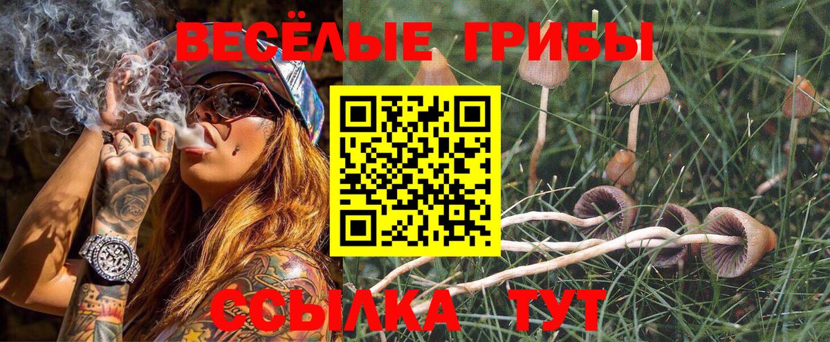 Псилоцибиновые грибы MAGIC MUSHROOMS Рубцовск